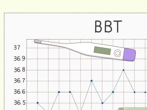 Read more about the article HCG Strategies You Need To Know For The Best Results Possible