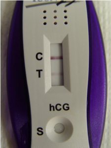 Read more about the article The Results that HCG Will Show on a Pregnancy Test