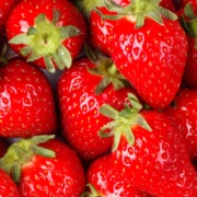 hcg diet